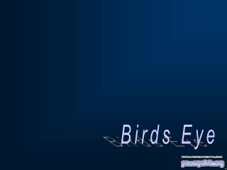Birds Eye