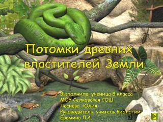 Выполнила: ученица 8 класса МОУ Селковская СОШ Леснёва Юлия Руководитель: учитель биологии