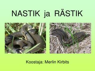 NASTIK