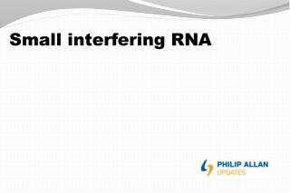 Small interfering RNA