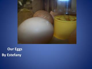 Our Eggs
