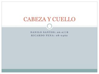 CABEZA Y CUELLO