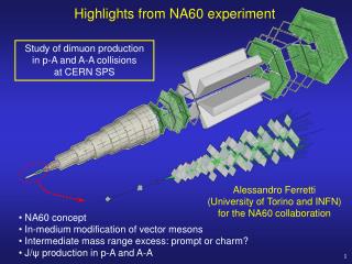 Highlights from NA60 experiment