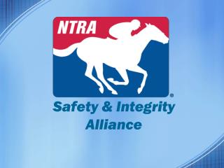 Safety &amp; Integrity Alliance