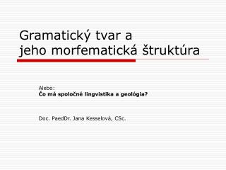 Gramatický tvar a jeho morfematická štruktúra