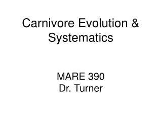 Carnivore Evolution &amp; Systematics MARE 390 Dr. Turner