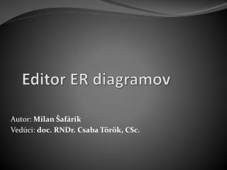 Editor ER diagramov