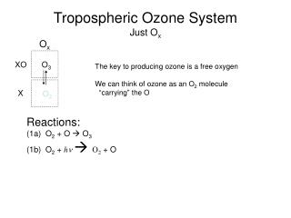 Tropospheric Ozone System Just O x