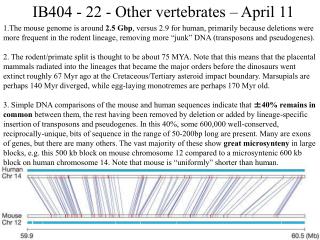 IB404 - 22 - Other vertebrates – April 11