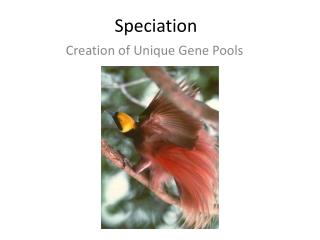 Speciation