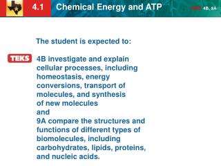 KEY CONCEPT All cells need chemical energy.