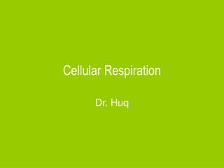 Cellular Respiration