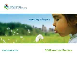 2008 Annual Review