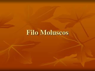 Filo Moluscos