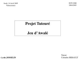 Projet Tuteuré Jeu d’Awalé