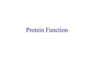 Protein Function