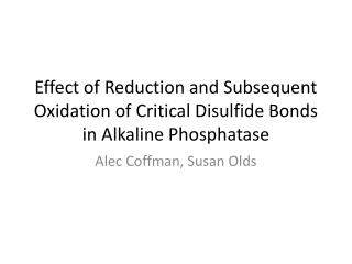Effect of Reduction and Subsequent Oxidation of Critical Disulfide Bonds in Alkaline Phosphatase