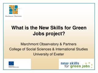 What is the New Skills for Green Jobs project?