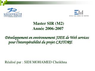 Développement en environnement J2EE de Web services pour l'interopérabilité du projet CASTORE