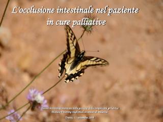 L'occlusione intestinale nel paziente in cure palliative