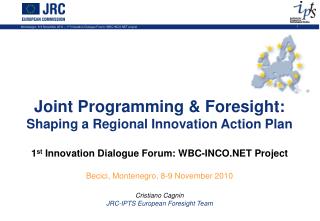 Joint Programming &amp; Foresight: Shaping a Regional Innovation Action Plan