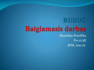 RUDUO Baigiamasis darbas