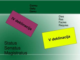 IV deklinacija