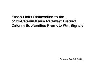 Frodo Links Dishevelled to the p120-Catenin/Kaiso Pathway: Distinct