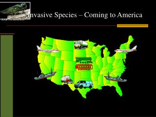 Invasive Species – Coming to America