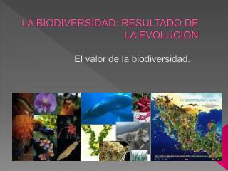 LA BIODIVERSIDAD: RESULTADO DE LA EVOLUCION