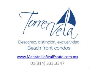 ManzanilloRealEstate.mx 01(314) 333.3347