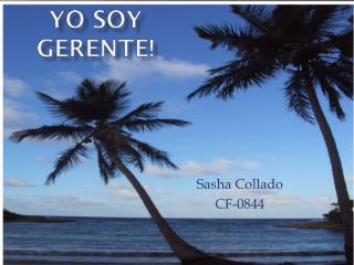 Yo Soy Gerente!