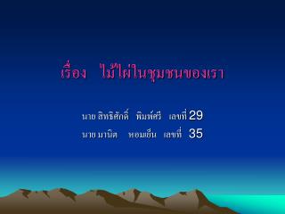 เรื่อง ไม้ไผ่ในชุมชนของเรา