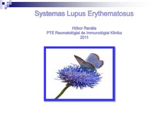 Systemas Lupus Erythematosus Hóbor Renáta PTE Reumatológiai és Immunológiai Klinika 2011