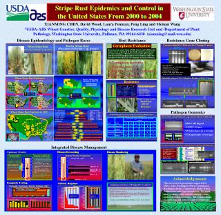 Stripe Rust Epidemics and Control in