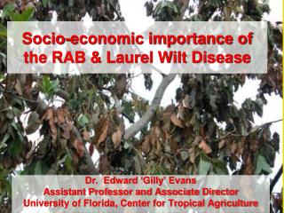 Socio-economic importance of the RAB &amp; Laurel Wilt Disease
