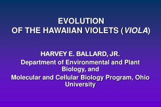 EVOLUTION OF THE HAWAIIAN VIOLETS ( VIOLA )