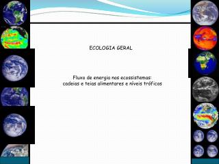ECOLOGIA GERAL
