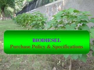 BIODIESEL Purchase Policy &amp; Specifications
