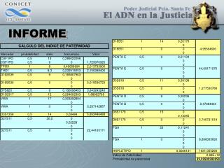 INFORME