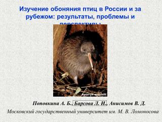 Изучение обоняния птиц в России и за рубежом: результаты, проблемы и перспективы