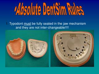 Absolute DentSim Rules