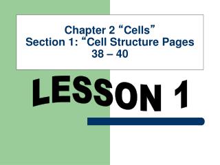 Chapter 2 “ Cells ” Section 1: “ Cell Structure Pages 38 – 40