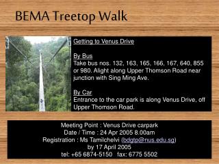 BEMA Treetop Walk