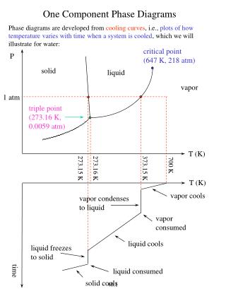 One Component Phase Diagrams