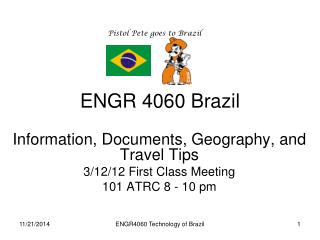 ENGR 4060 Brazil
