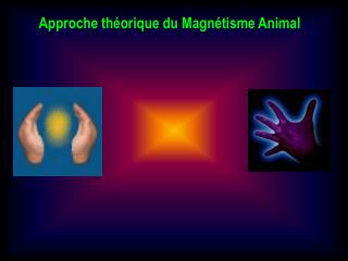 Approche théorique du Magnétisme Animal