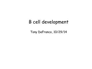 B cell development Tony DeFranco, 10/ 29/14