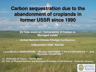 Carbon sequestration due to the abandonment of croplands in former USSR since 1990