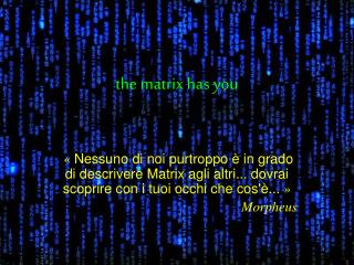 the matrix has you